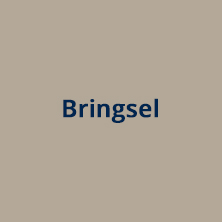 Bringsel