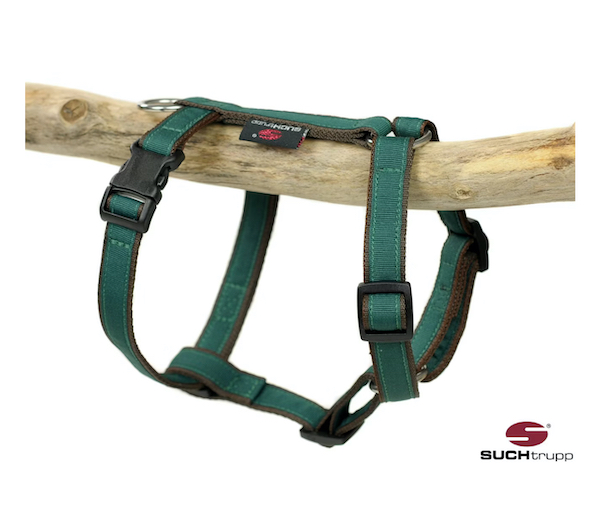 SUCHtrupp - Hundegeschirr PURE BRITISH RACING GREEN