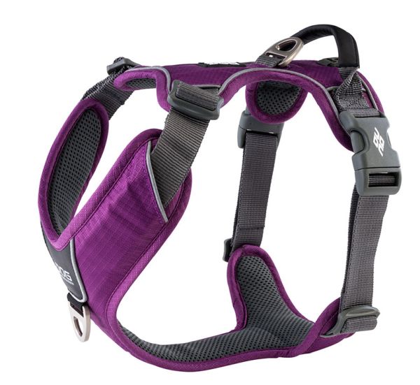 Dog Copenhagen - Comfort Walk Pro Geschirr "Purple Passion"