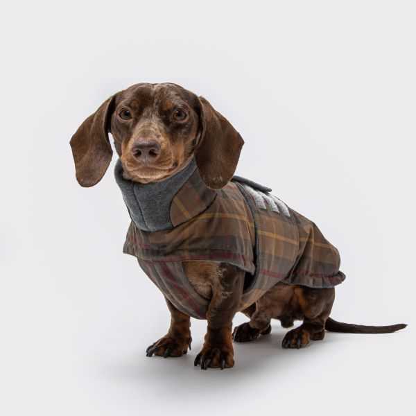 Cloud7 Hundemantel Brooklyn DACKEL Waxed Tartan