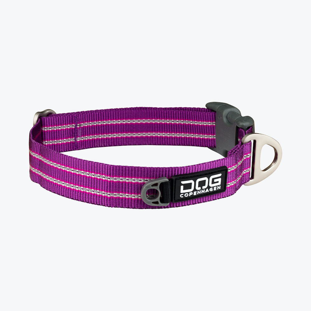 Dog Copenhagen - Urban Style Collar "PURPEL PASSION"