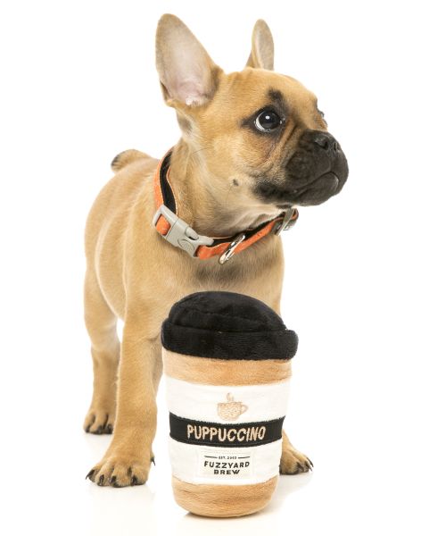 FuzzYard Puppuccino Coffee