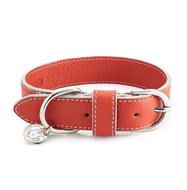 Dogs Deli Leder Halsband ORANGE Größe S